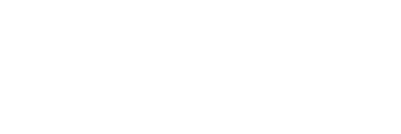 Logo BDS